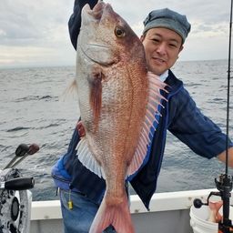 マダイ