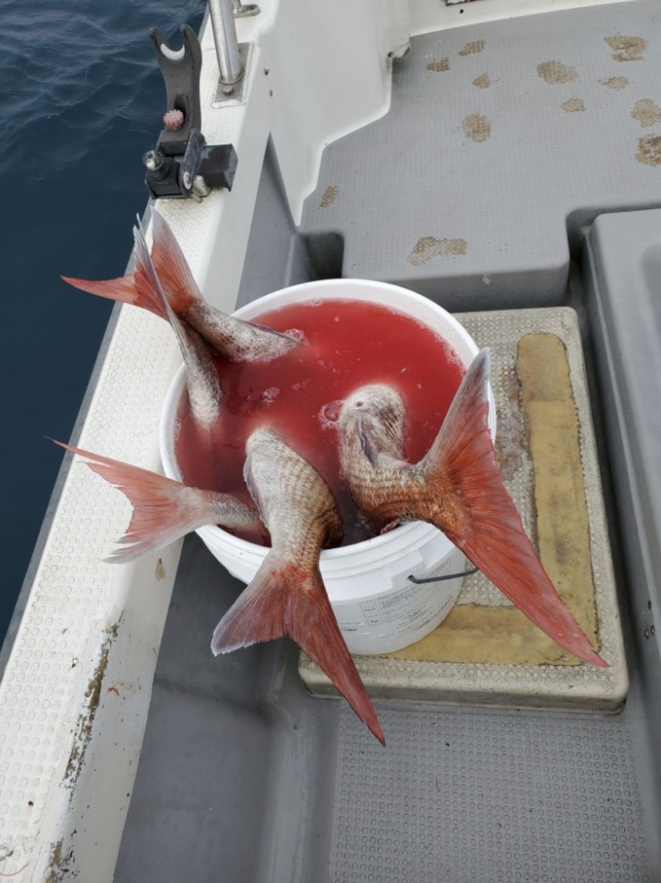 真鯛ハンタ～山ちゃんさんの釣果 3枚目の画像