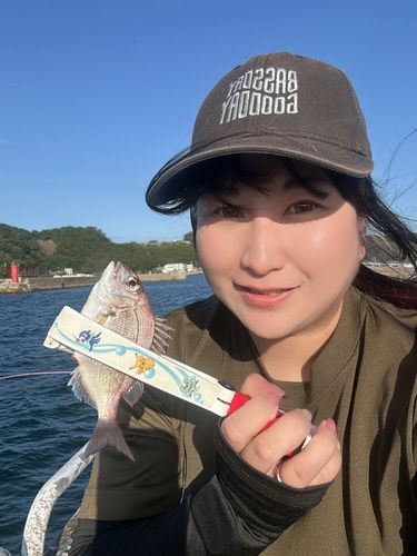 チャリコの釣果