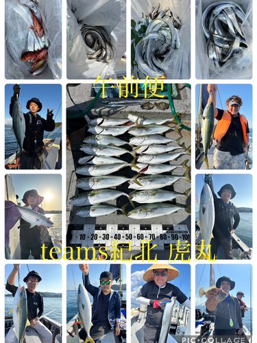 メジロの釣果