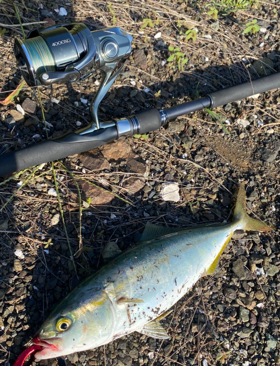 Shimano COLTSNIPER XR S96MLライトジギングロッド Shimano COLTSNIPER XR S96MLライトジギングロッド コルト