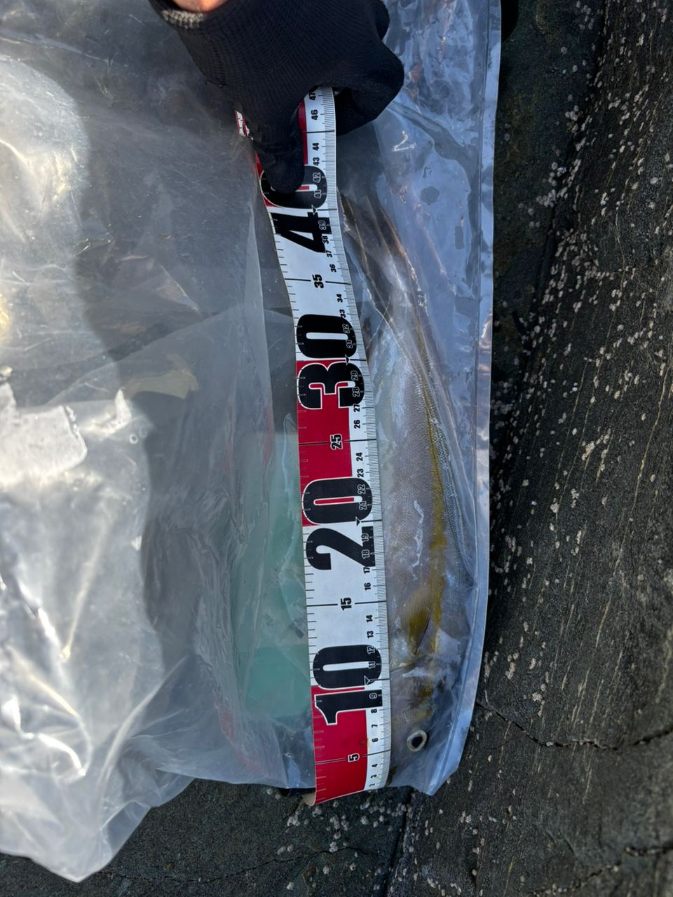 SHIMANO 20コルトスナイパー XR S98XHの最安値・インプレ・釣果