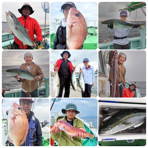 ブリの釣果