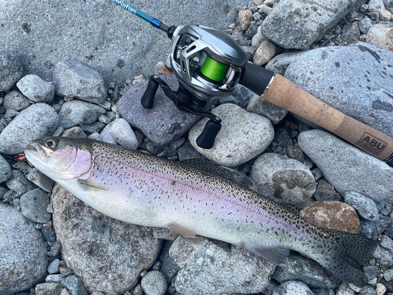 DAIWA 20アルファス SV TW 800XHLの最安値・インプレ・釣果