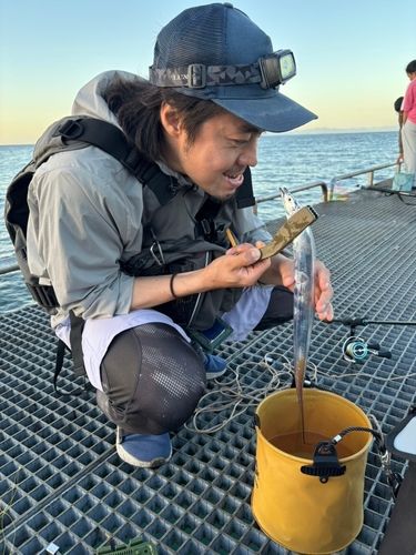 タチウオの釣果