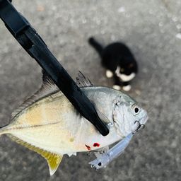 メッキ