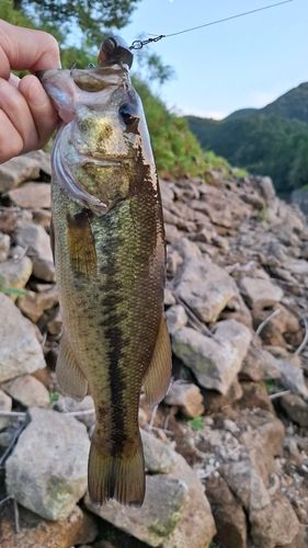 室生ダム