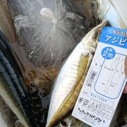 アジ