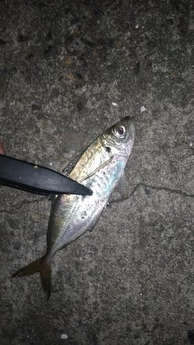 小名浜港アクアマリンふくしま周辺