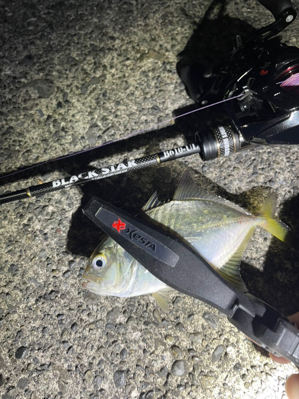 XESTA ブラックスター セカンドジェネレーション B610-ULの最安値