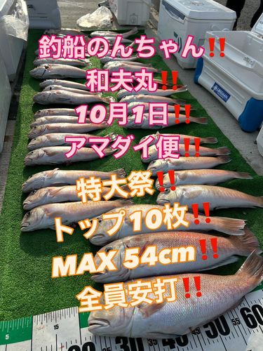 紀伊水道