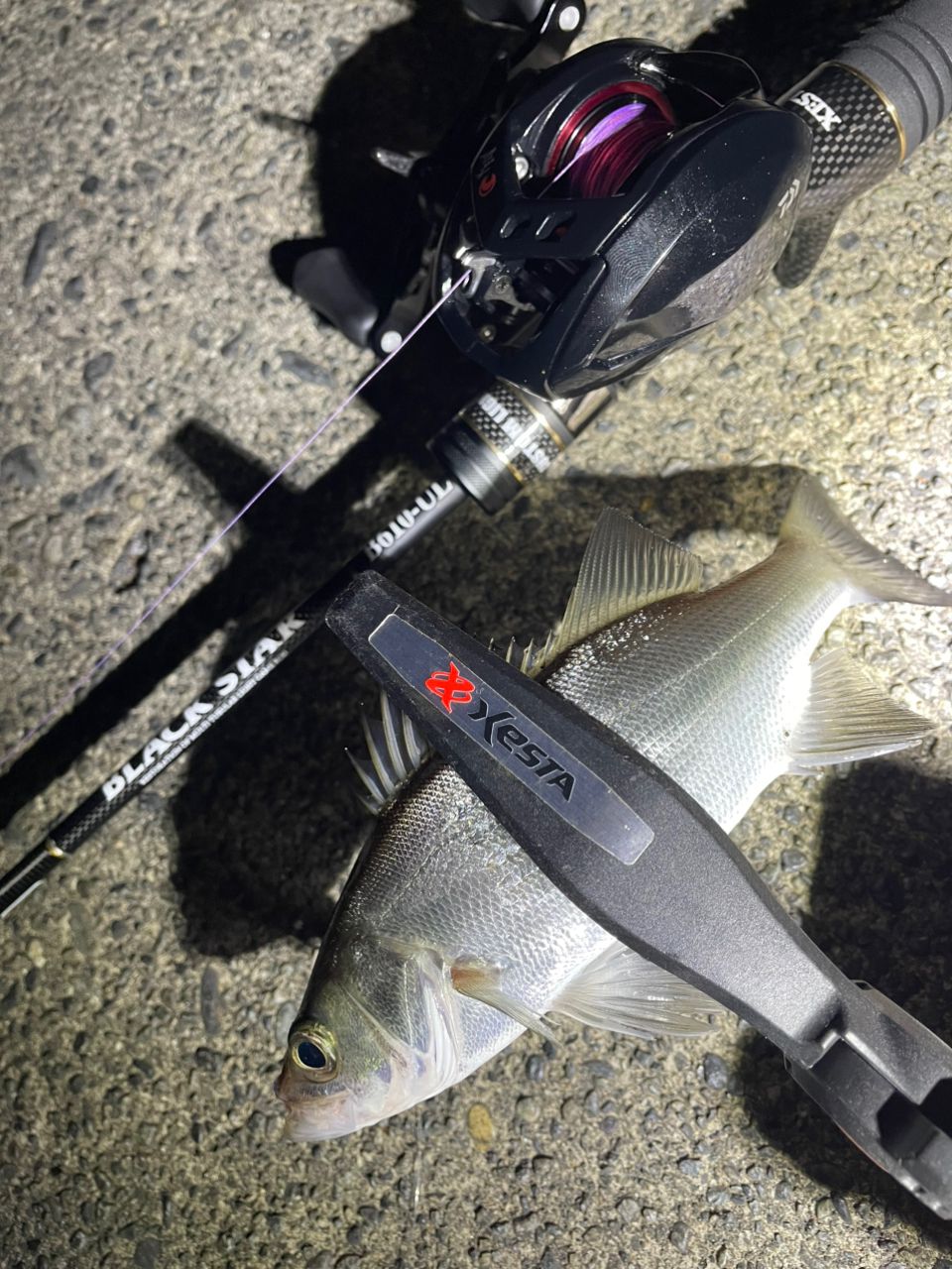 XESTA ブラックスター セカンドジェネレーション B610-ULの最安値