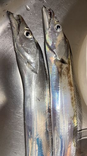 長崎湾