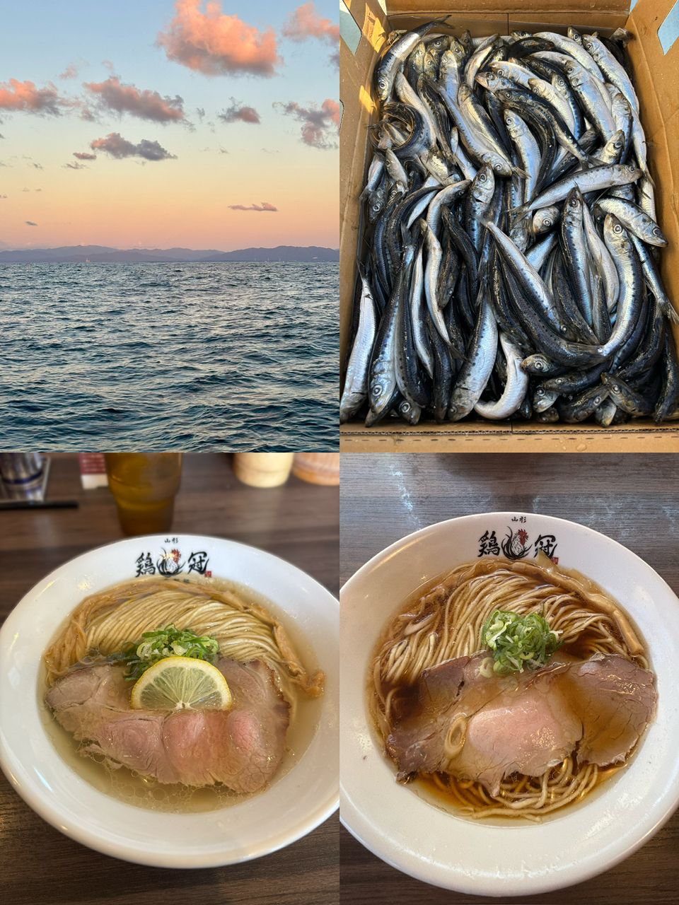 イカジロ–さんの釣果 3枚目の画像