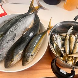 ヒラソウダ