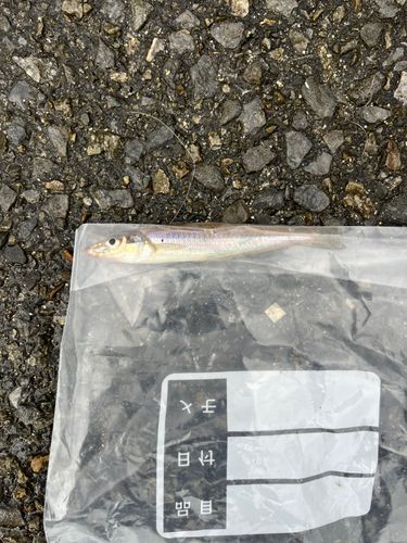 ディズニーリゾート付近