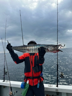 カマスサワラの釣果