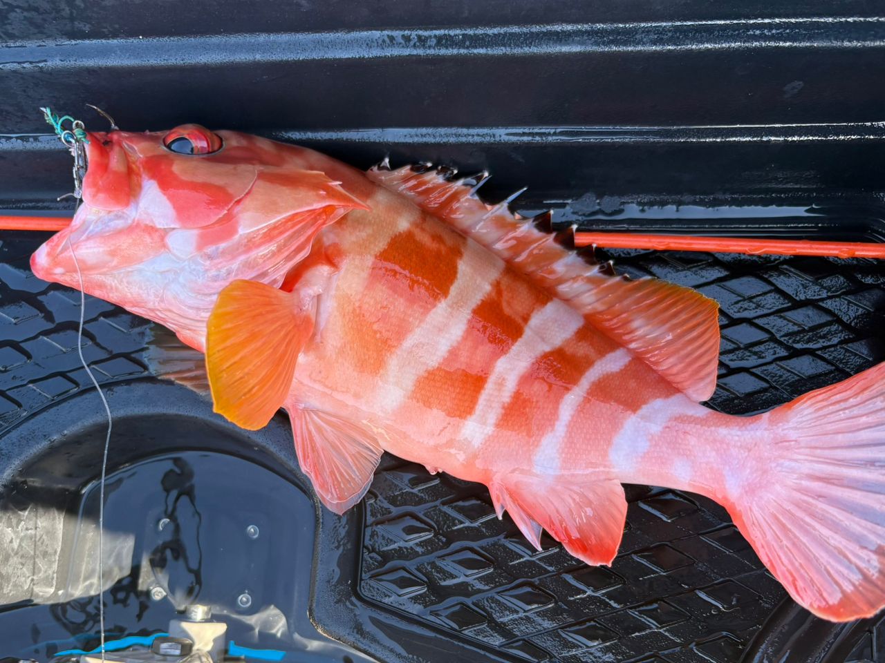 ハンゴーミーバイ