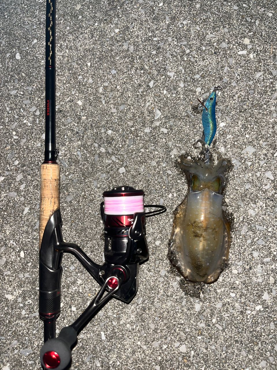 まぁぼー シマノ　20セフィアエクスチューン92ML + まぁぼー様専用 シマノ 20セフィアエクスチューン92ML +