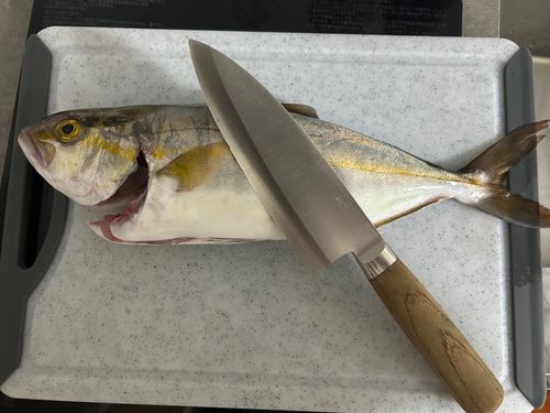 博多湾