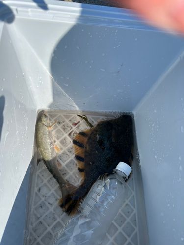 石狩湾新港