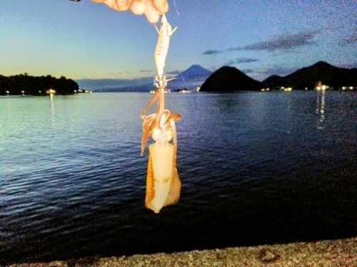 内浦湾（沼津）