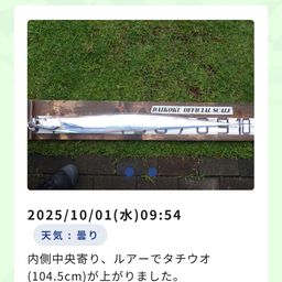 タチウオ