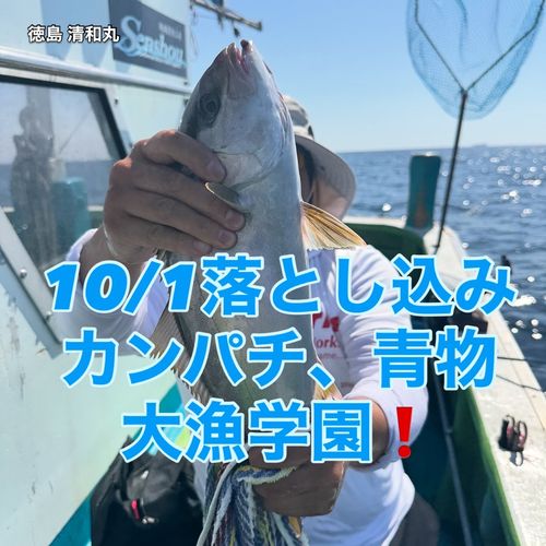 カンパチの釣果