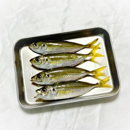 アジ