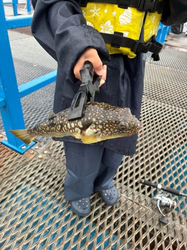 本牧海づり施設