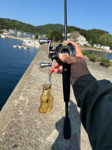 幸ノ浦漁港