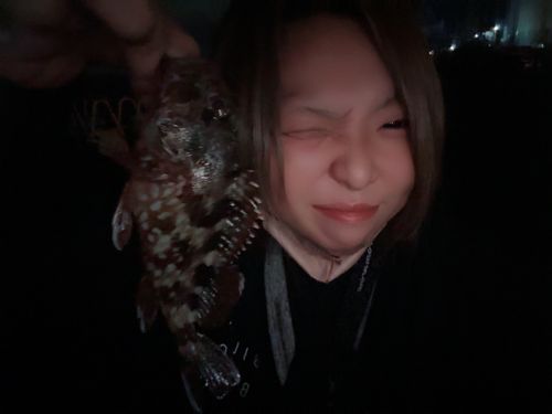 清水港