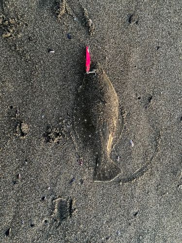 県北サーフ