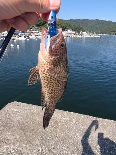 野見湾