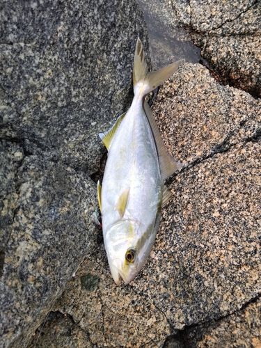 博多湾