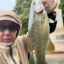 スモールマウスバス