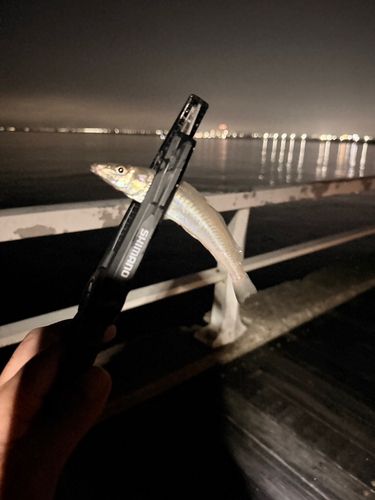 片瀬漁港