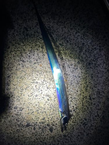 アジュール舞子