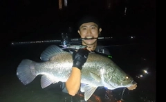アカメの釣果