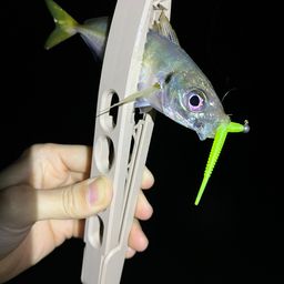 アジ