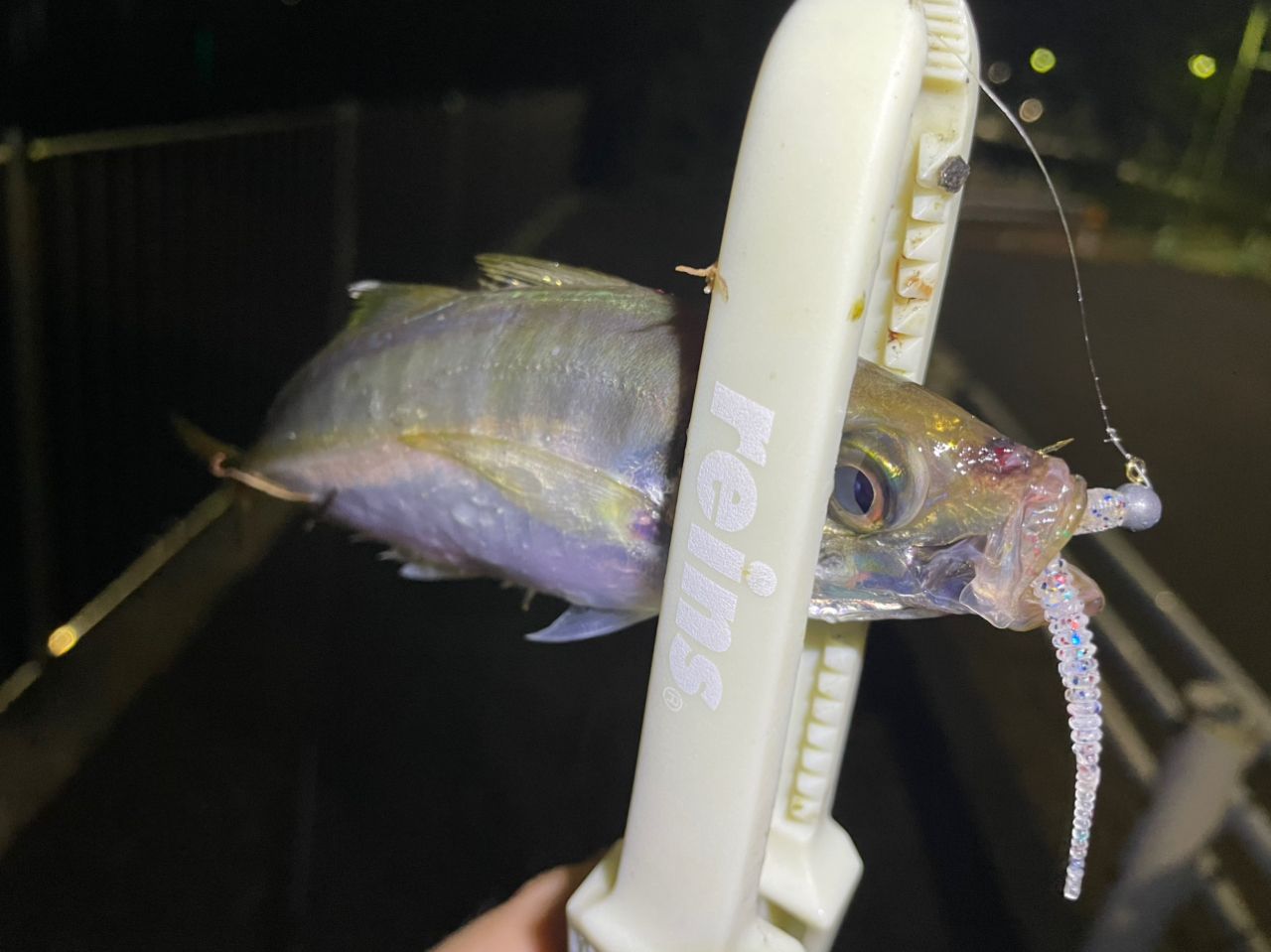 アジ
