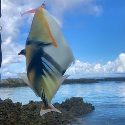 ムラサメモンガラ