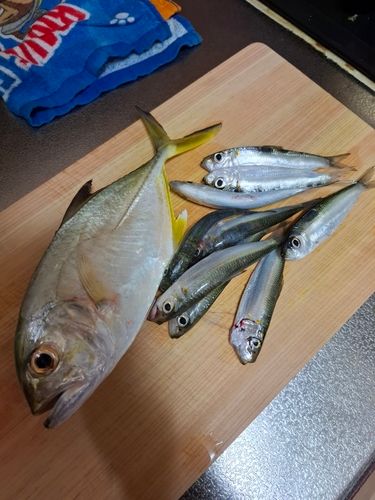 沖縄本島北部