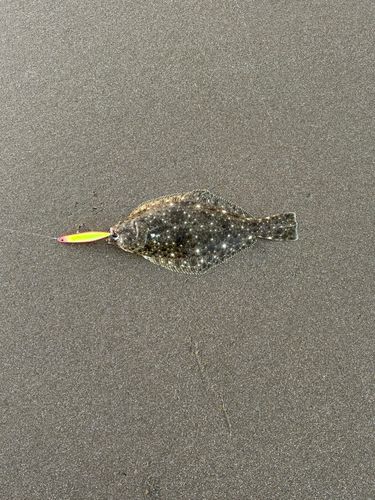 須田浜海岸