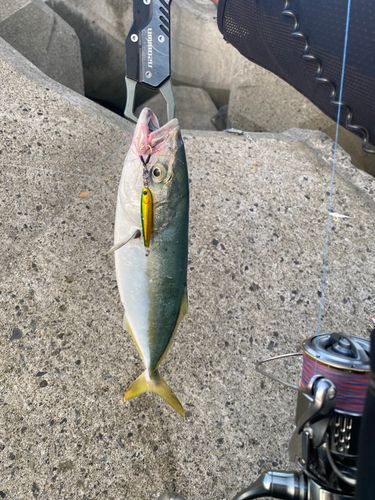 石津浜