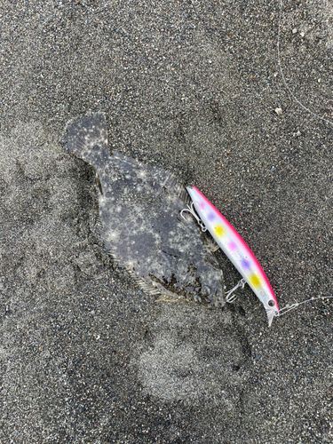 平塚サーフ