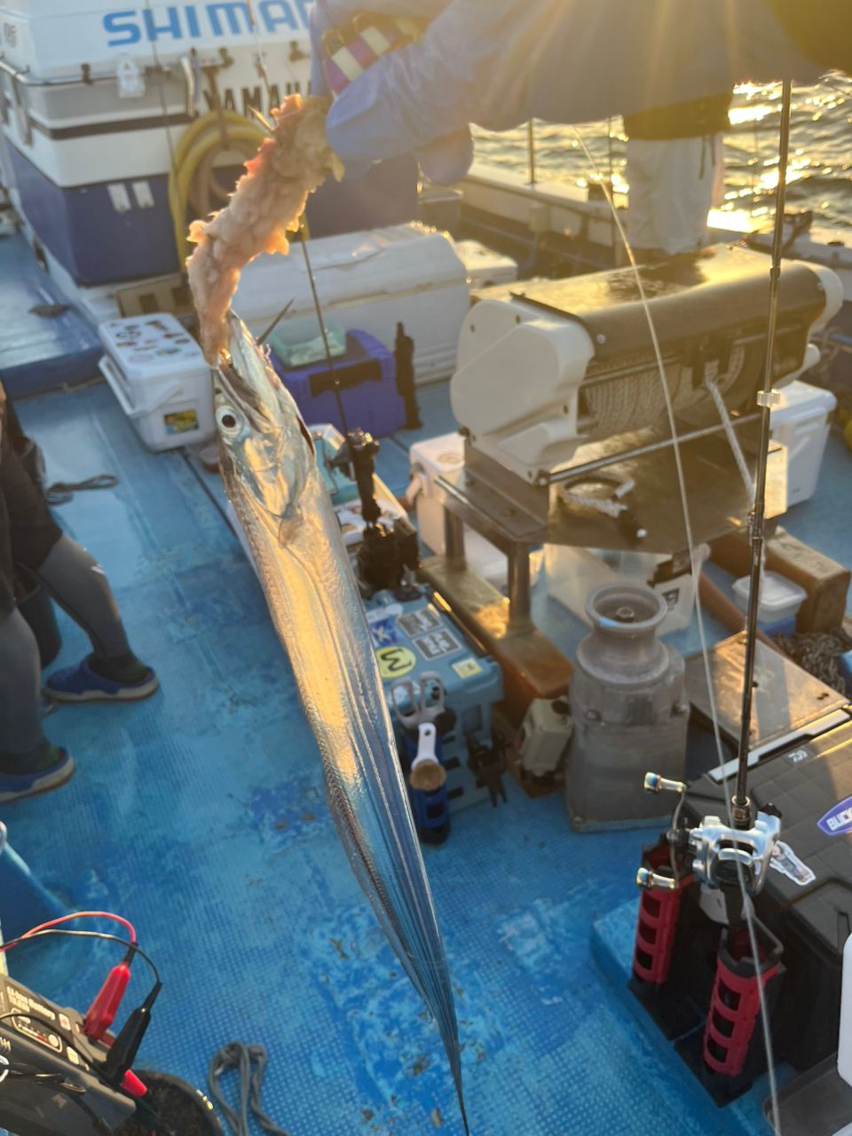 eichan.dさんの釣果 1枚目の画像