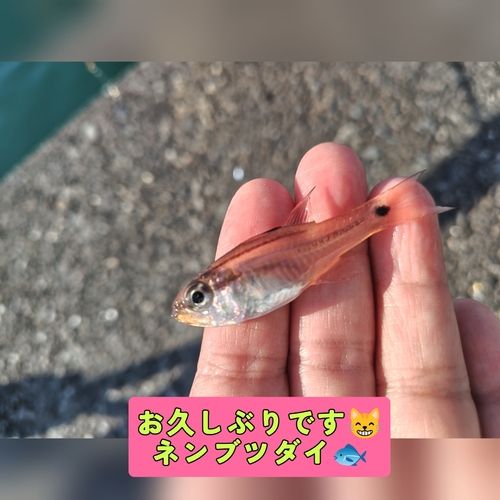 親水広場