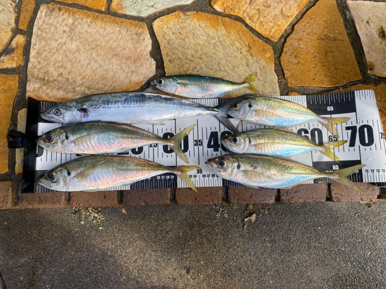SHIMANO 22ネッサXR S112M+の最安値・インプレ・釣果 | 本音の