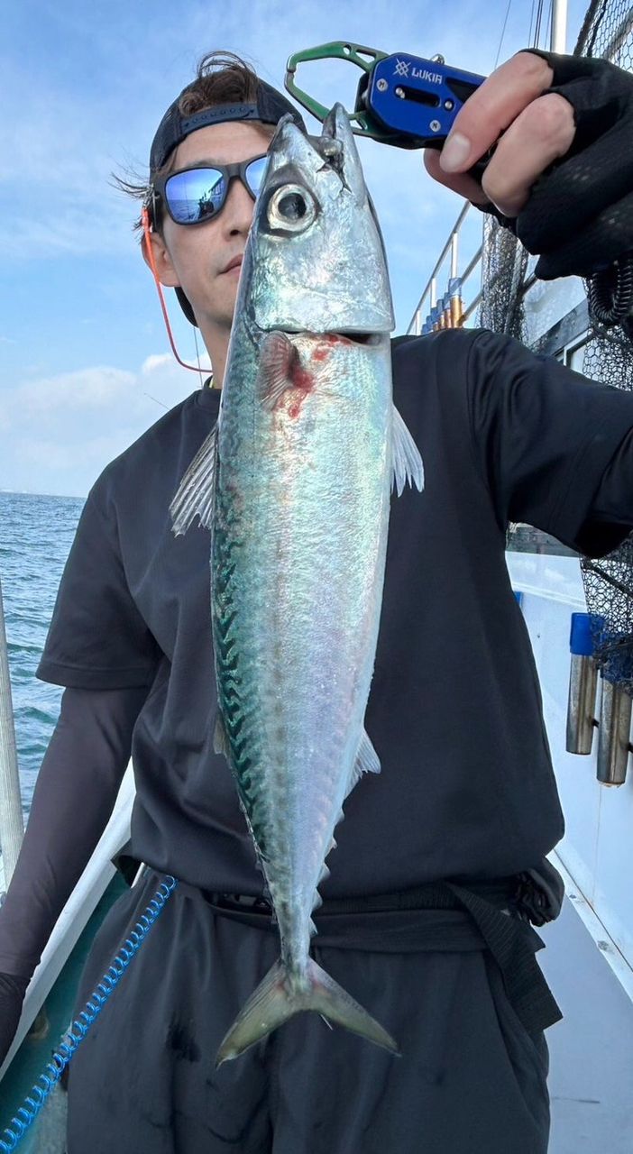 1/144さんの釣果 2枚目の画像